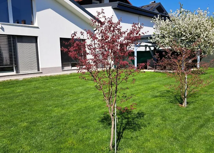 Morning Coffee * Lublaň