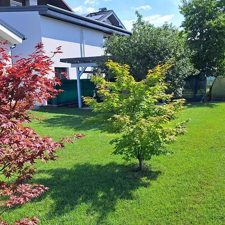 Morning Coffee Homestay szállás *