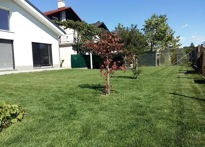 Проживание в семье Morning Coffee *