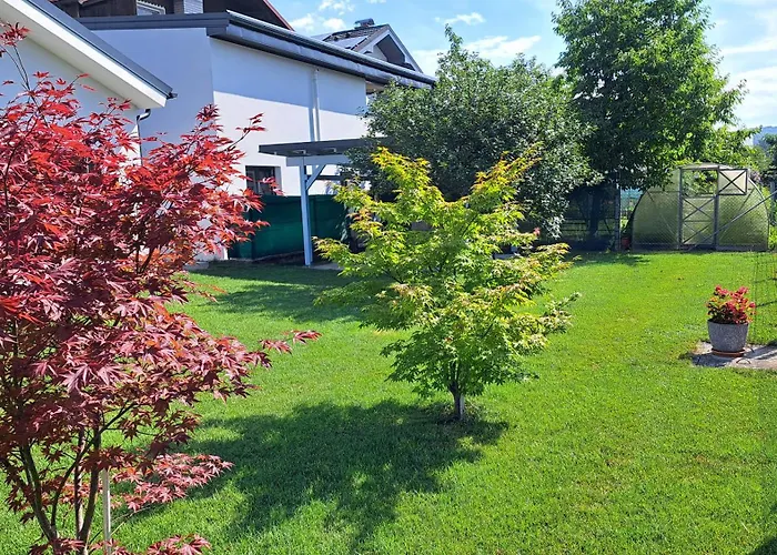 Morning Coffee Проживание в семье *