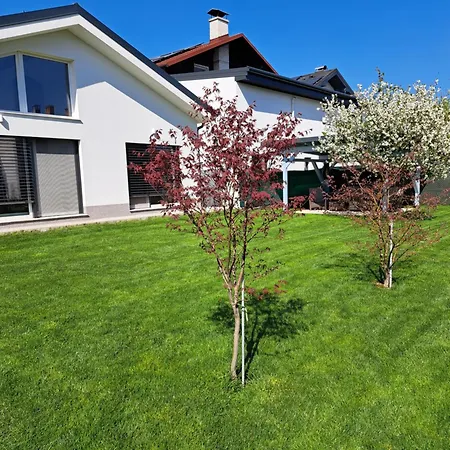 Morning Coffee * לובליאנה